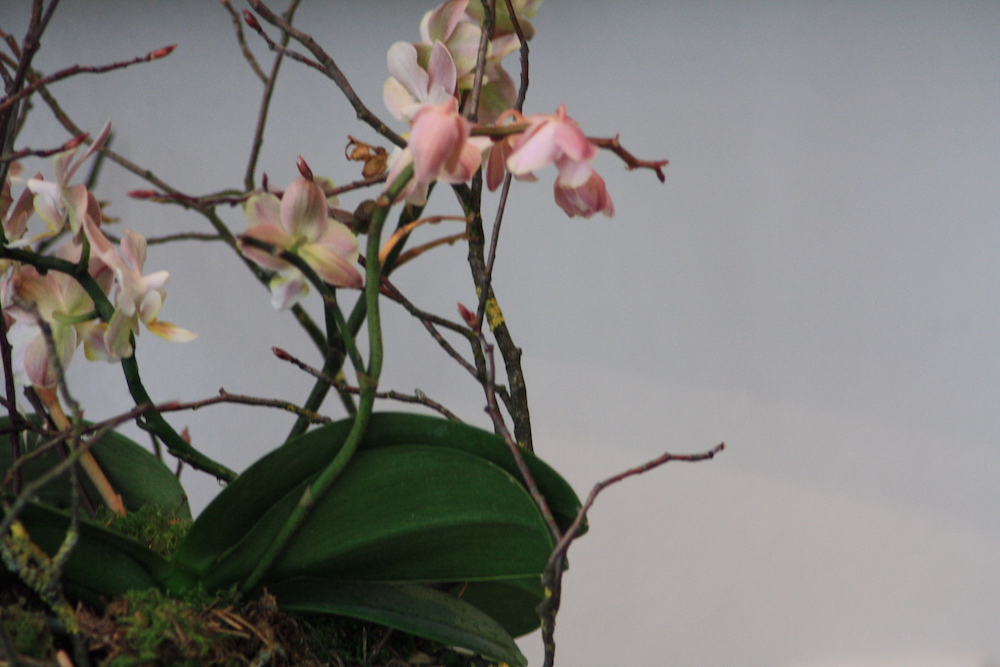 Ein Bild der Praxis van Bürck